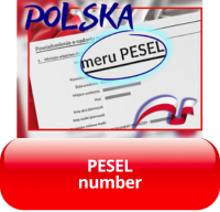 Our services - go to the page "PESEL number" - MAGFIN
